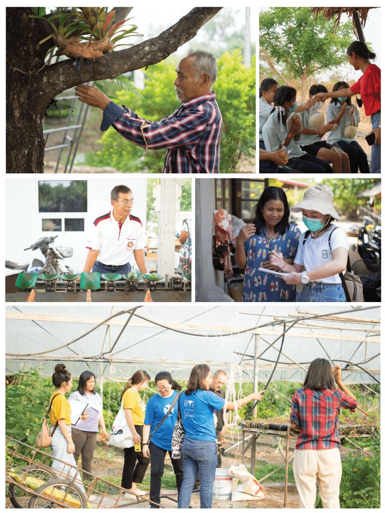โครงการ CE-01