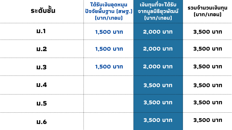 จำนวนเงินทุน-01