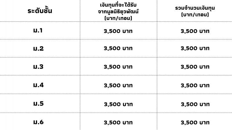 จำนวนเงินทุน-02